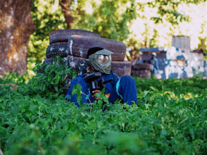 Paintball & Waterfall Adventure Experienc